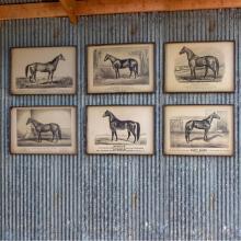 Park Hill EWA90350 - Prized Race Horse Framed Print 6 Asst Styles