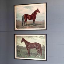 Park Hill EWA90354 - Prized Horse In Pasture Framed Print 2 Asst Styles