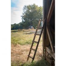 Park Hill EDX81472 - Wooden Loft Display Ladder