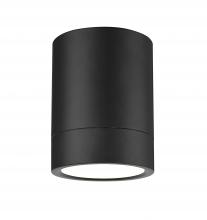 Drum Shade Flush Mounts