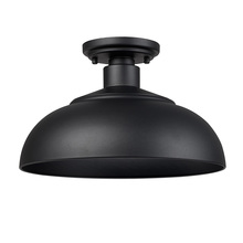Outdoor Semi-Flush Mts.