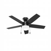 Ceiling Fans with Light